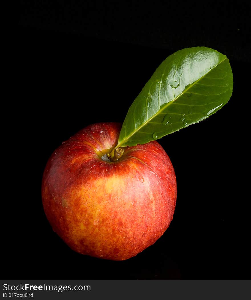 Wet red apple with green leaf on black background. Wet red apple with green leaf on black background