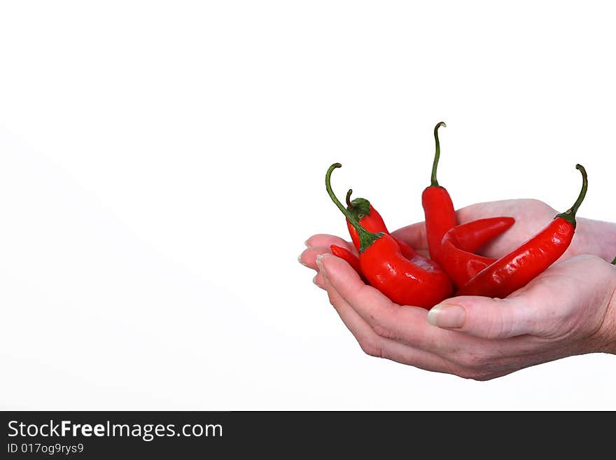 Hands holding a stack of chilli peppers. Hands holding a stack of chilli peppers