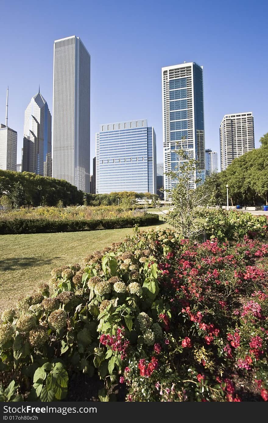 Chicago Buildings