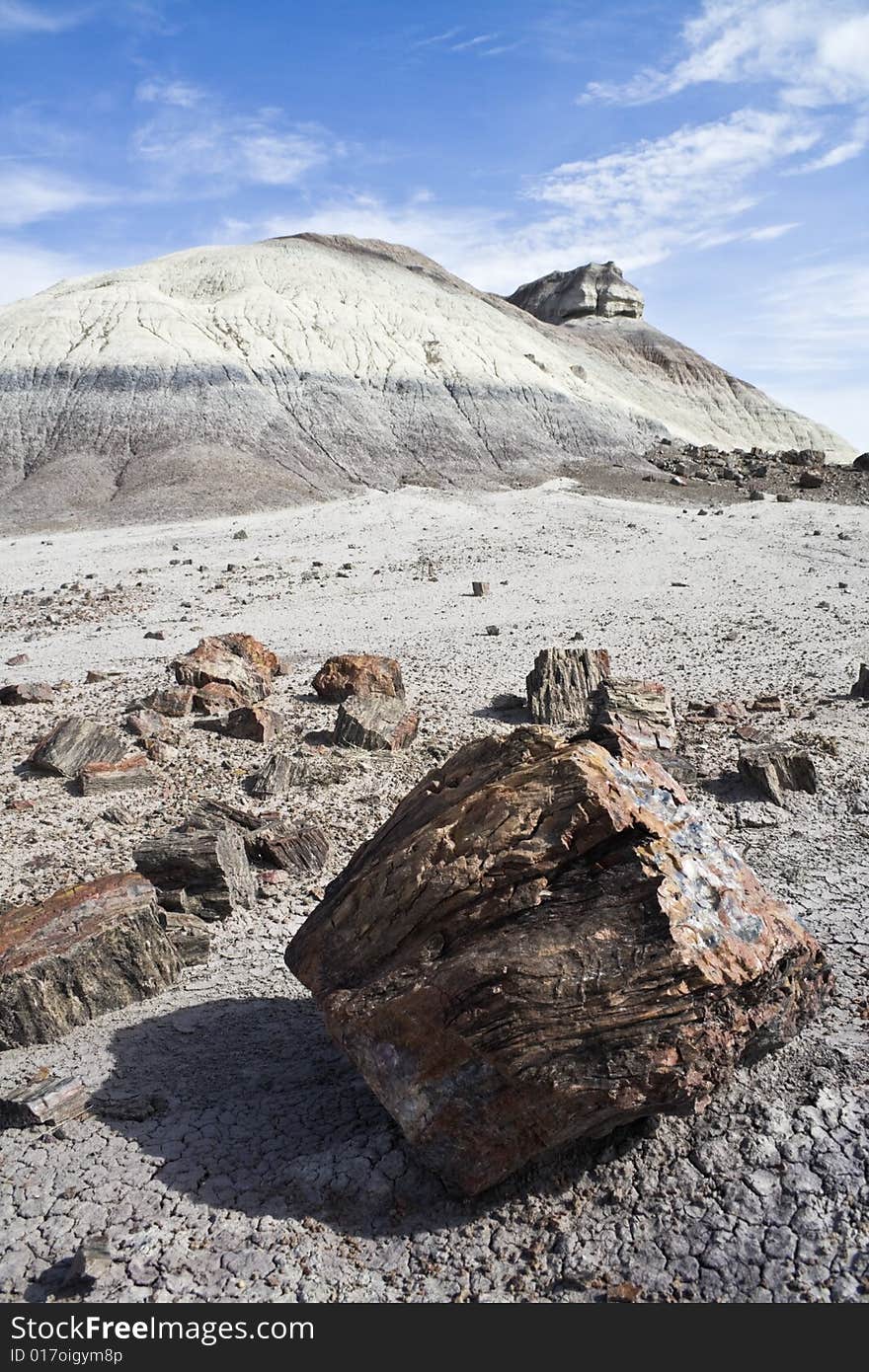 Petrified Forest National Park in Arizona