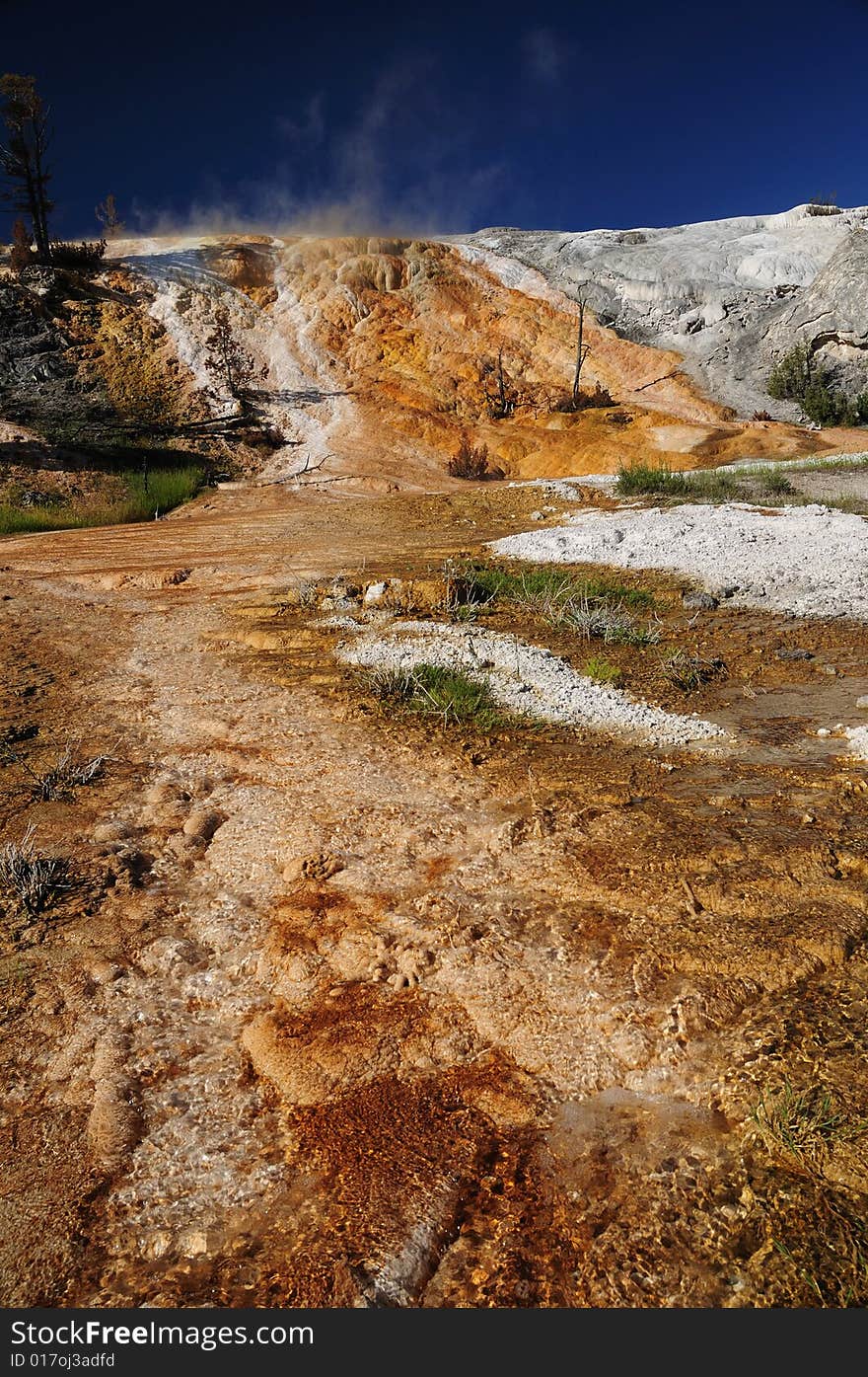 Mammoth hot spring yellowstone