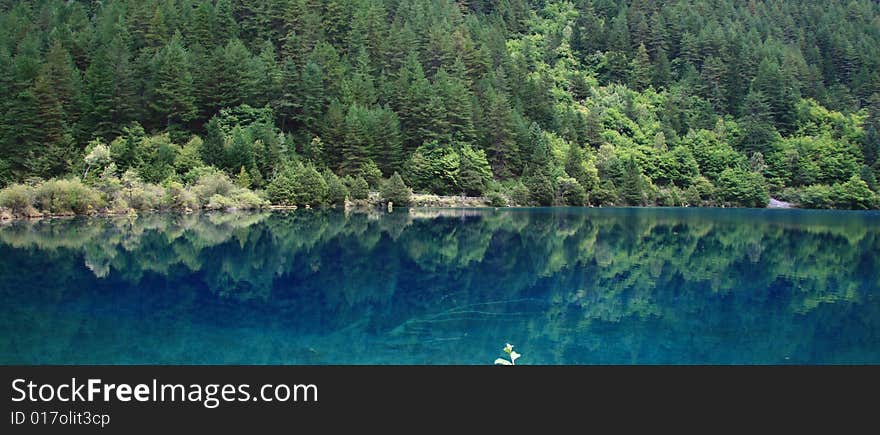 Lake in jiuzhaigou