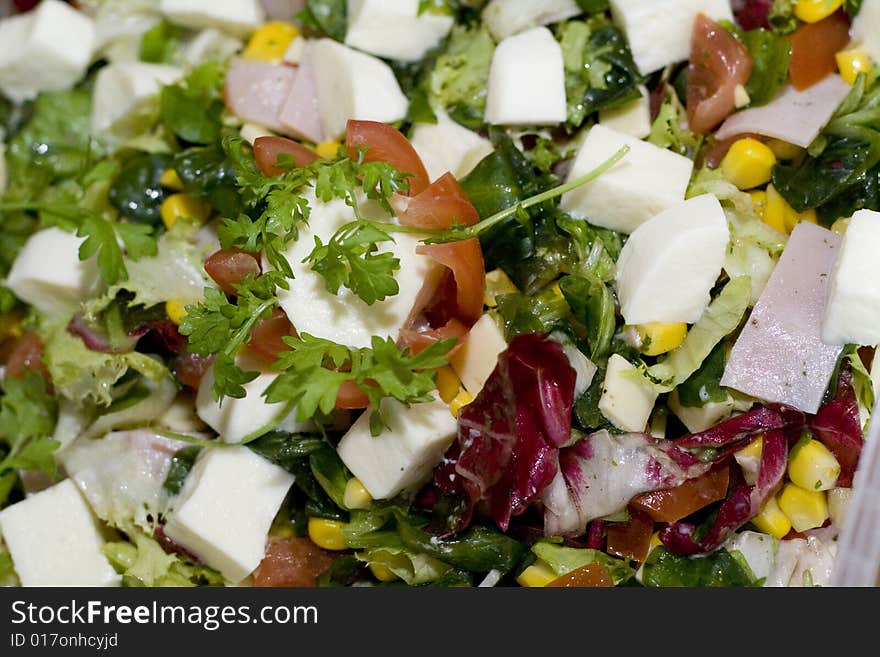 Healthy salad with toamto and mozarella. Healthy salad with toamto and mozarella