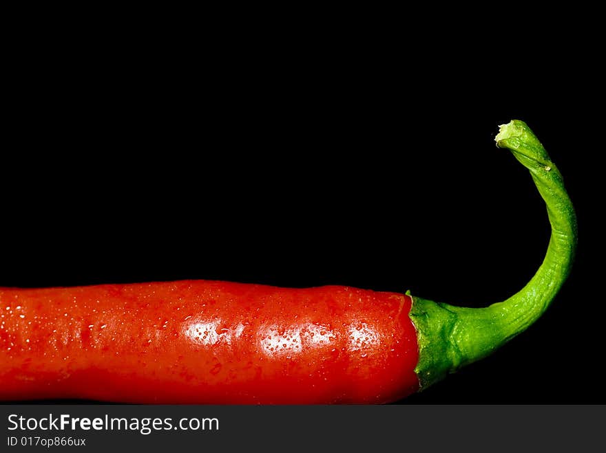 A shot of a chili with a round stem. A shot of a chili with a round stem