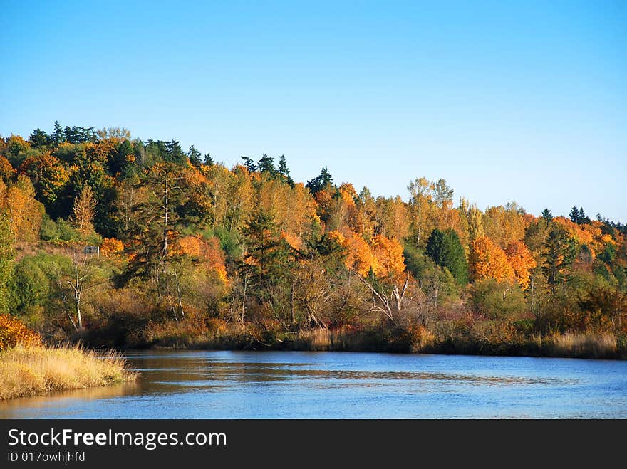 On the river in autumn