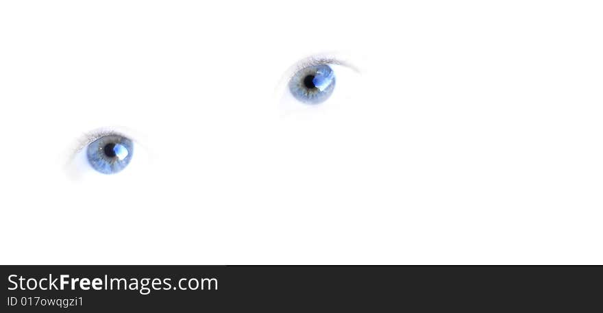 Isolated blue eys with white background. Isolated blue eys with white background