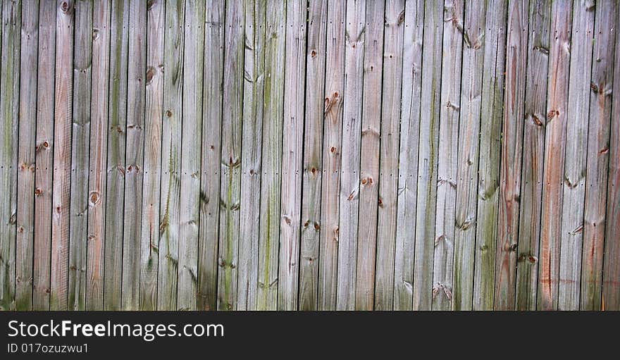 Wood Fence