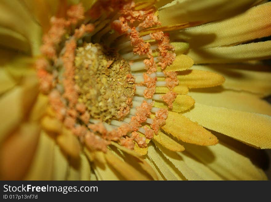 Plastic Sunflower