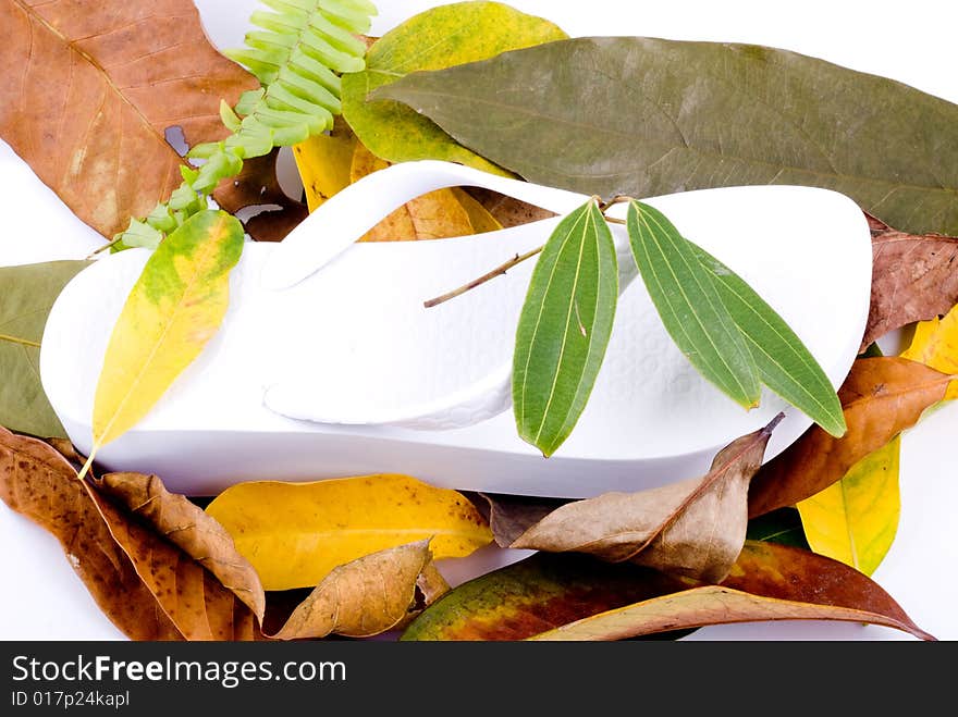 Autumn leaves on White