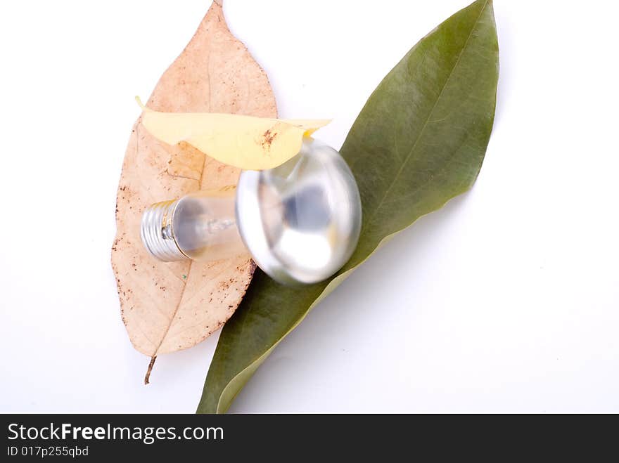 Autumn leaves with spotlight lamp on slim branch. Autumn leaves with spotlight lamp on slim branch