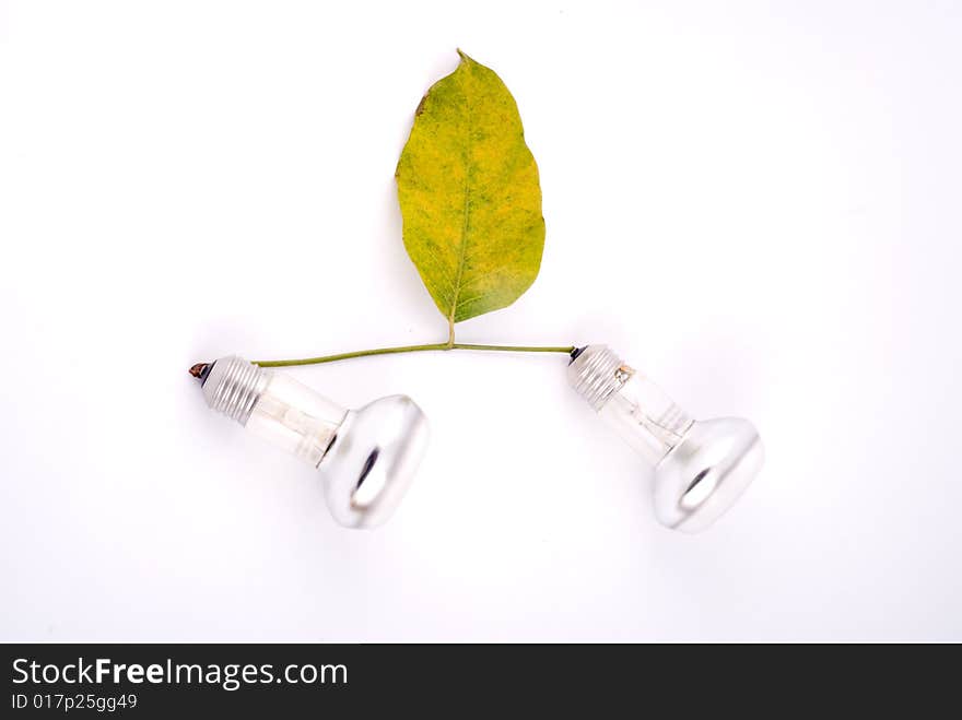 Autumn leaves with spotlight lamp on slim branch. Autumn leaves with spotlight lamp on slim branch