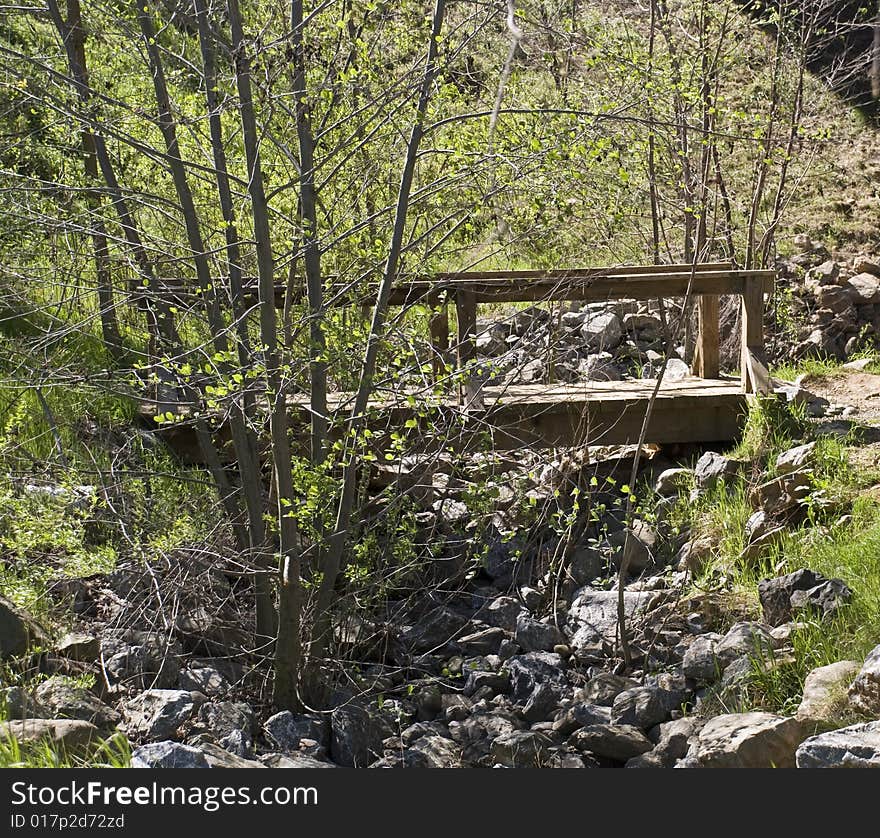 Wooden bridge across creek with trees in spring