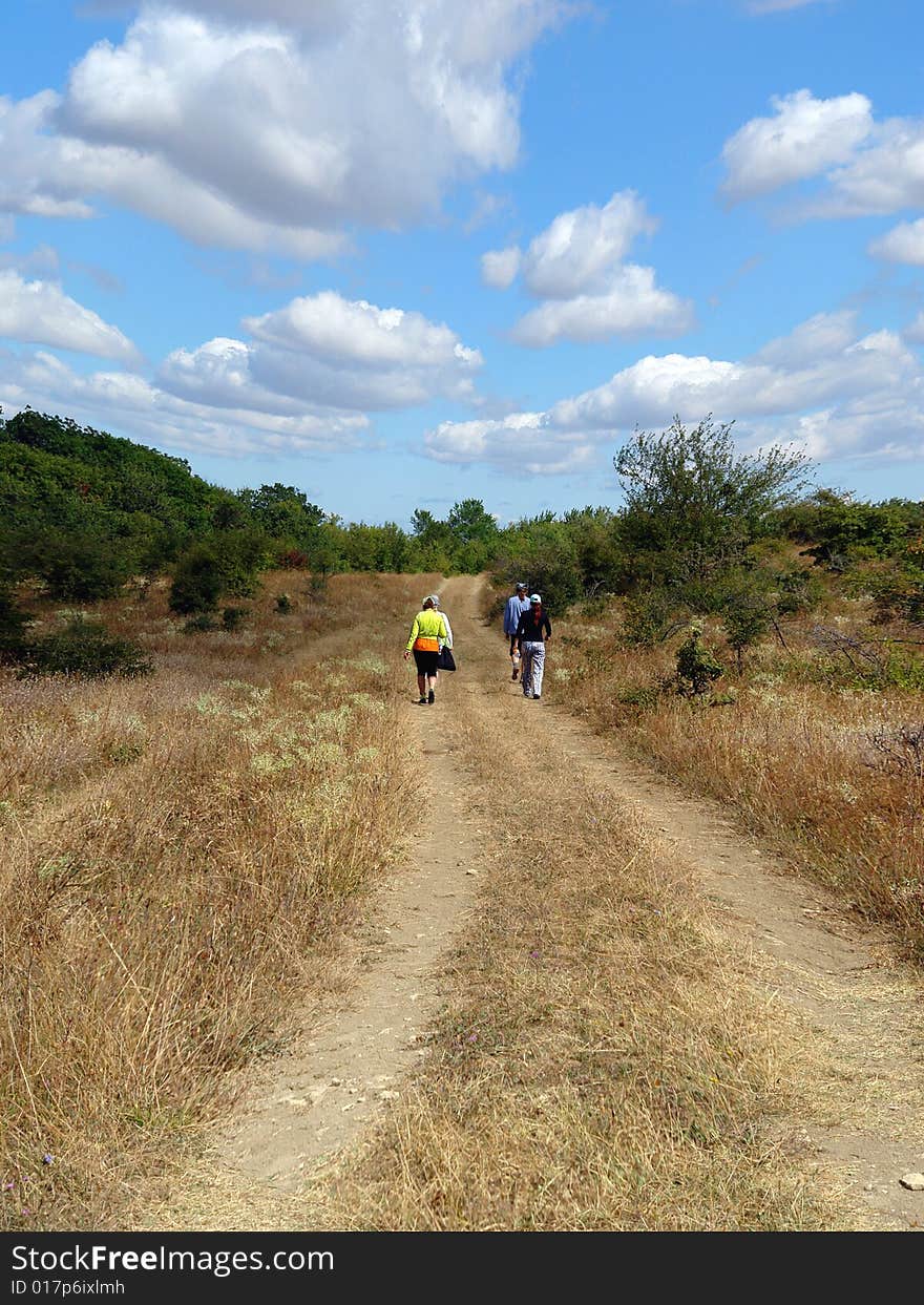 Travellers on a country road