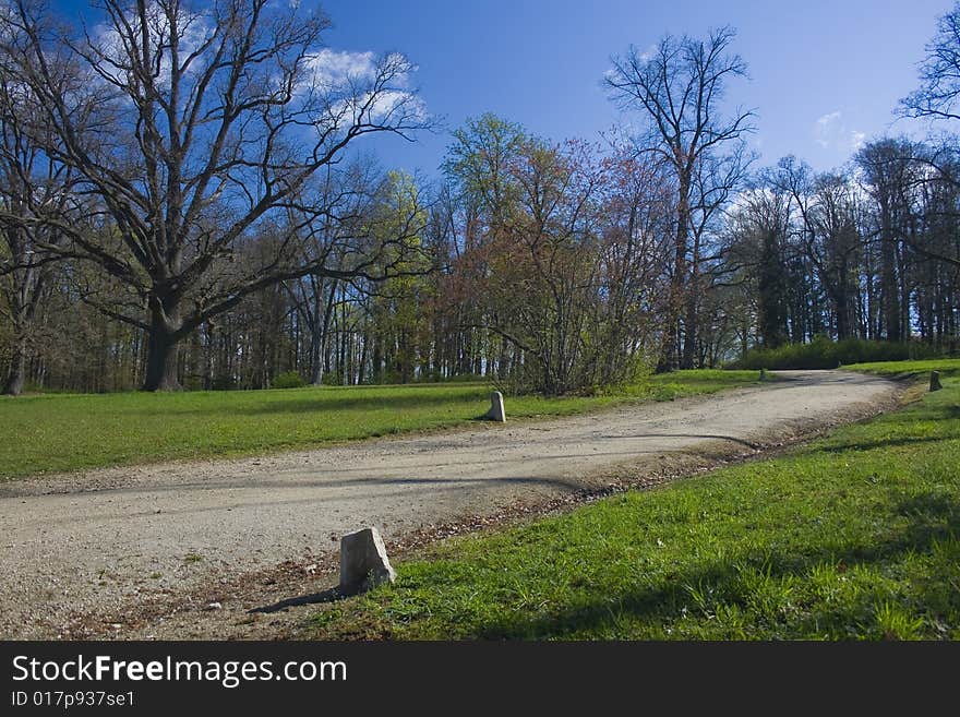 Garden with foothpath