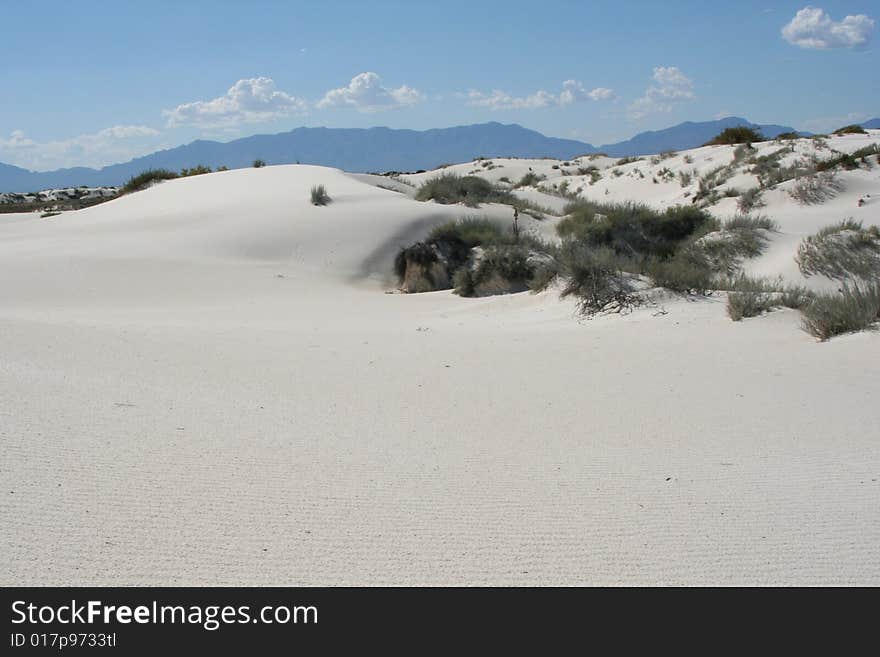 Hill of sand with desert foliage at White Sands National Monument in New Mexico.