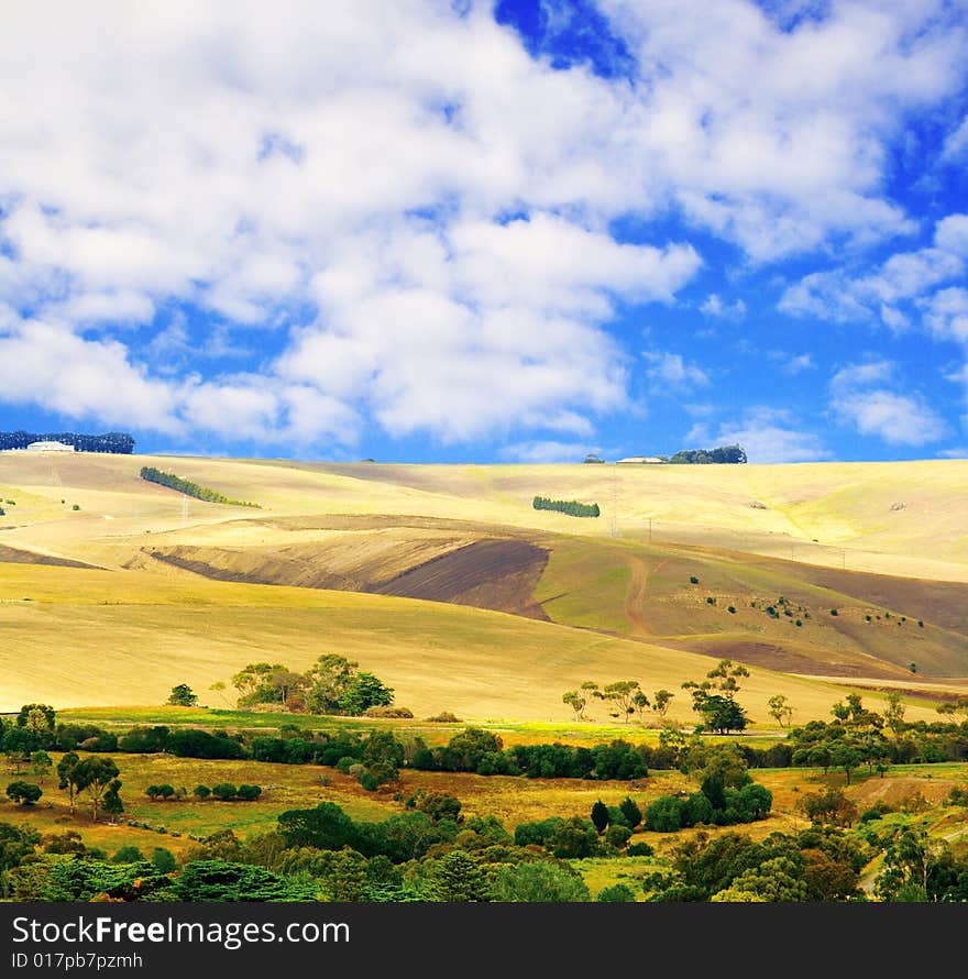 Countryside landscape with green bushes and cloudy sky