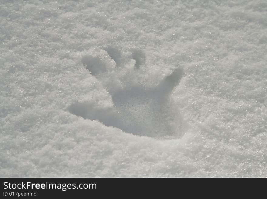 Image of a handprint in snow. Image of a handprint in snow.