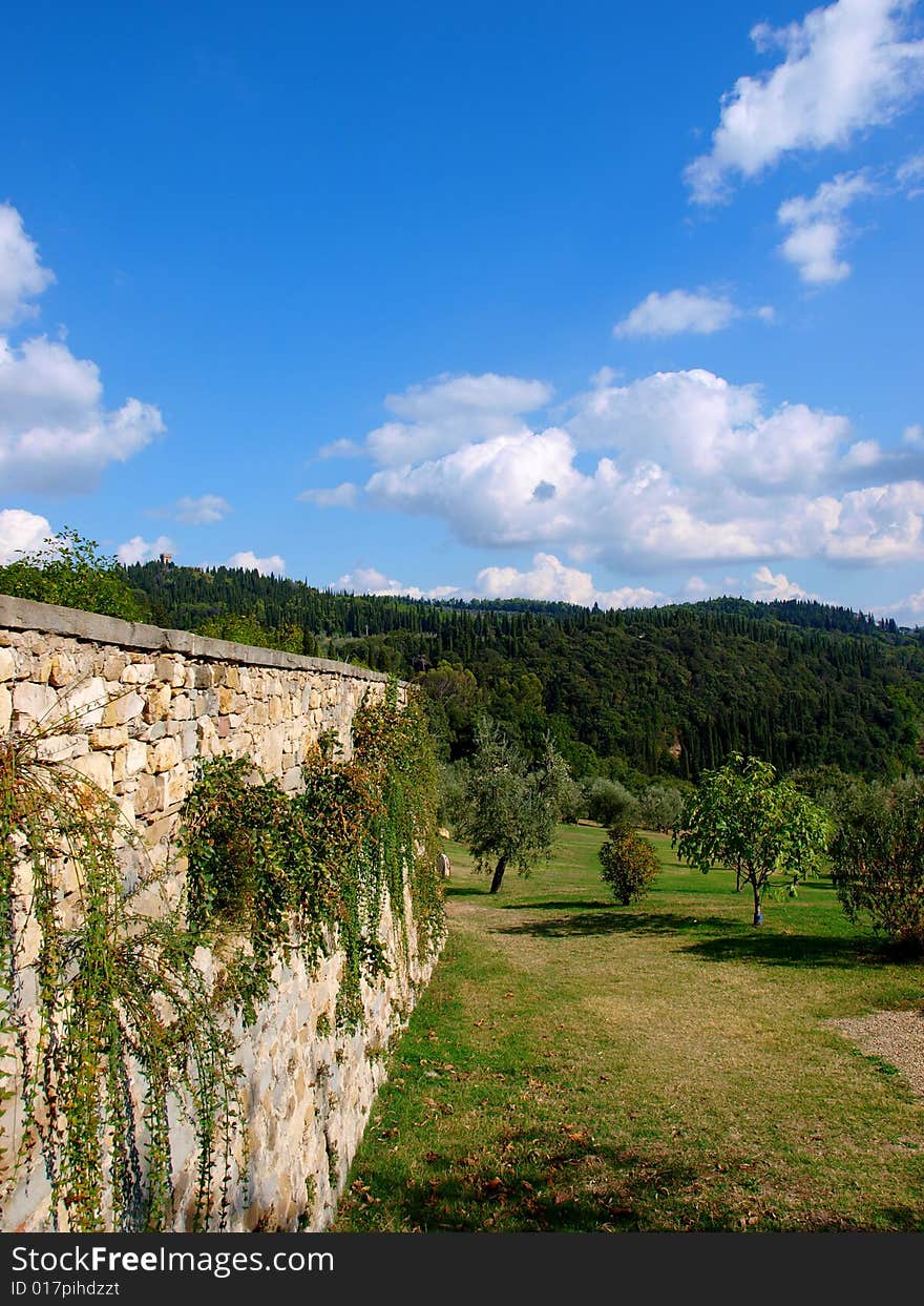 A typical glimpse of a Tuscany filed in Florence neighbours. A typical glimpse of a Tuscany filed in Florence neighbours