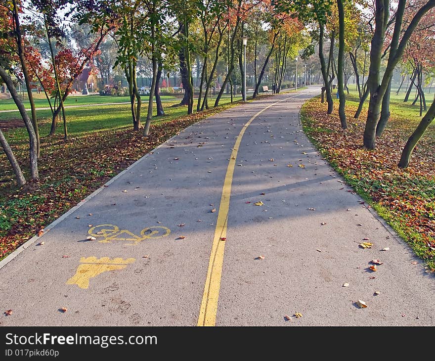 Bike And Skate Track