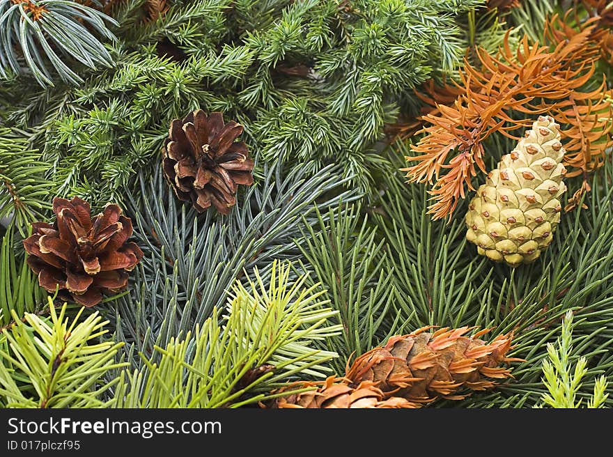 Christmas background made with green branches of pines