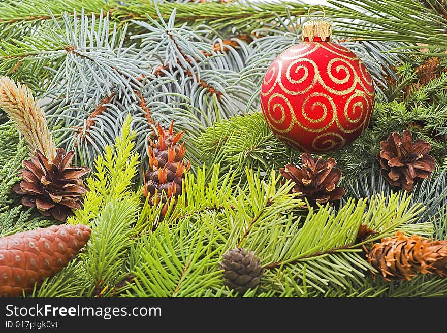 Christmas background made with green branches of pines