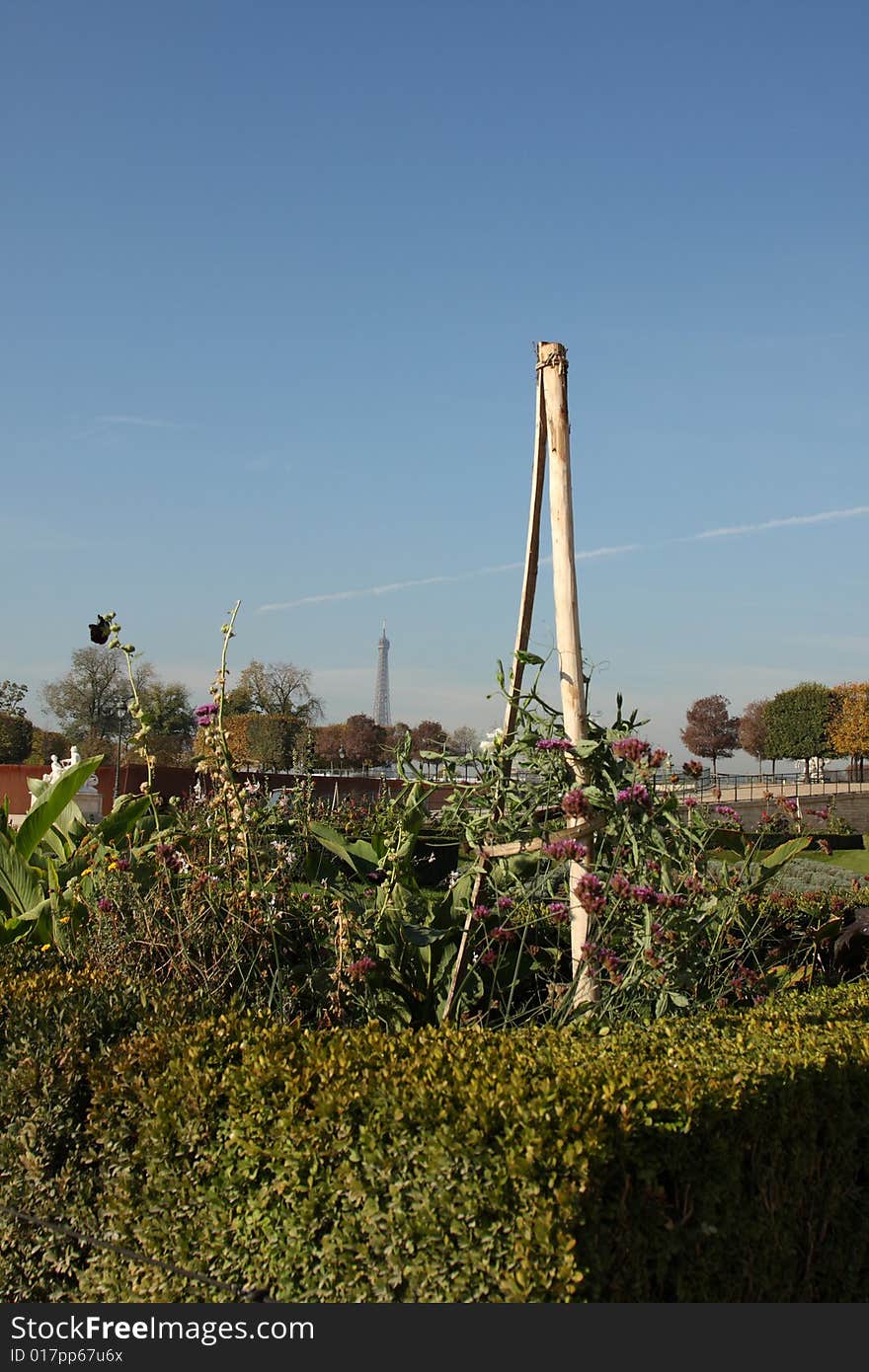 Tuilleries Gardens with Eiffel tower in background