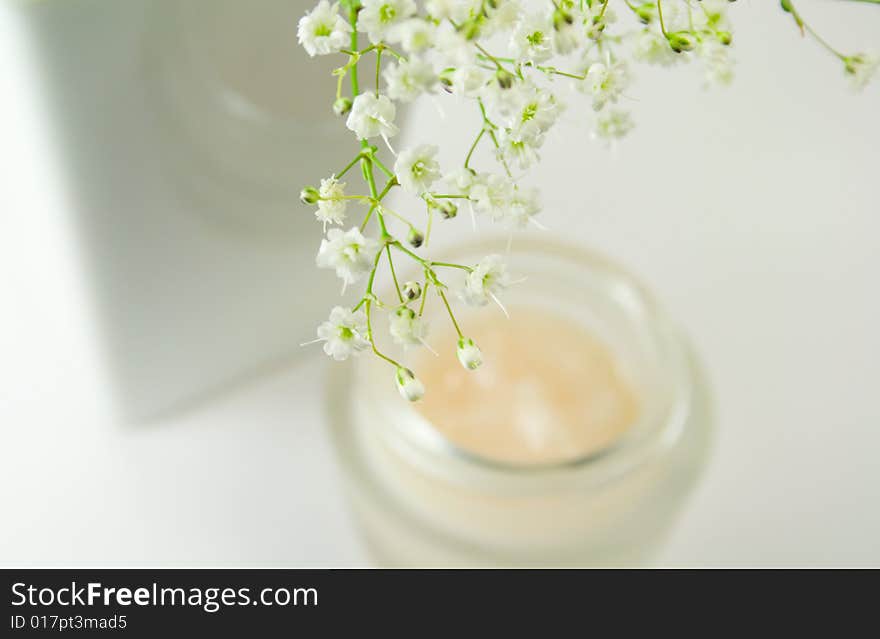 Flowers in vase and face creme. Flowers in vase and face creme