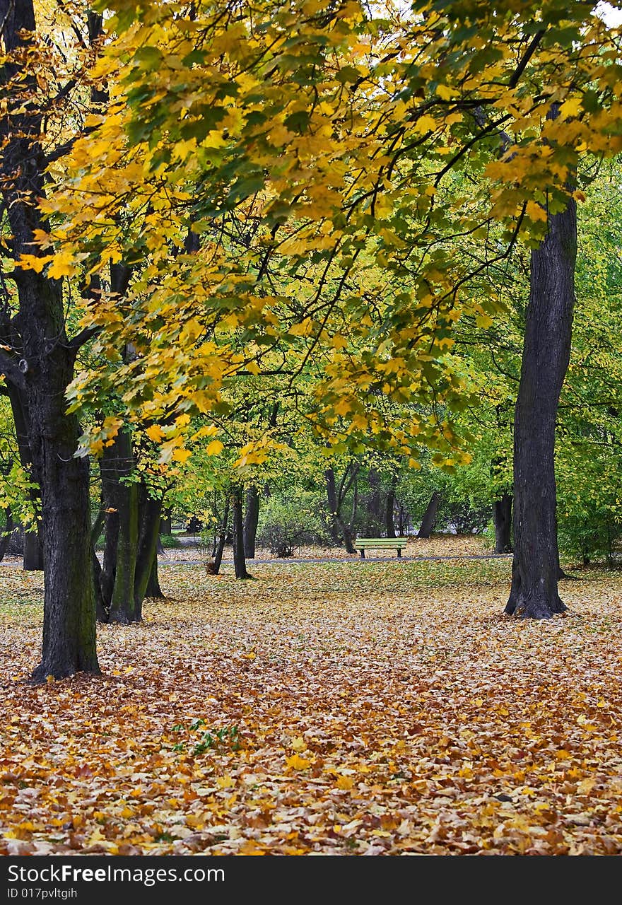 View on autumn park in the city