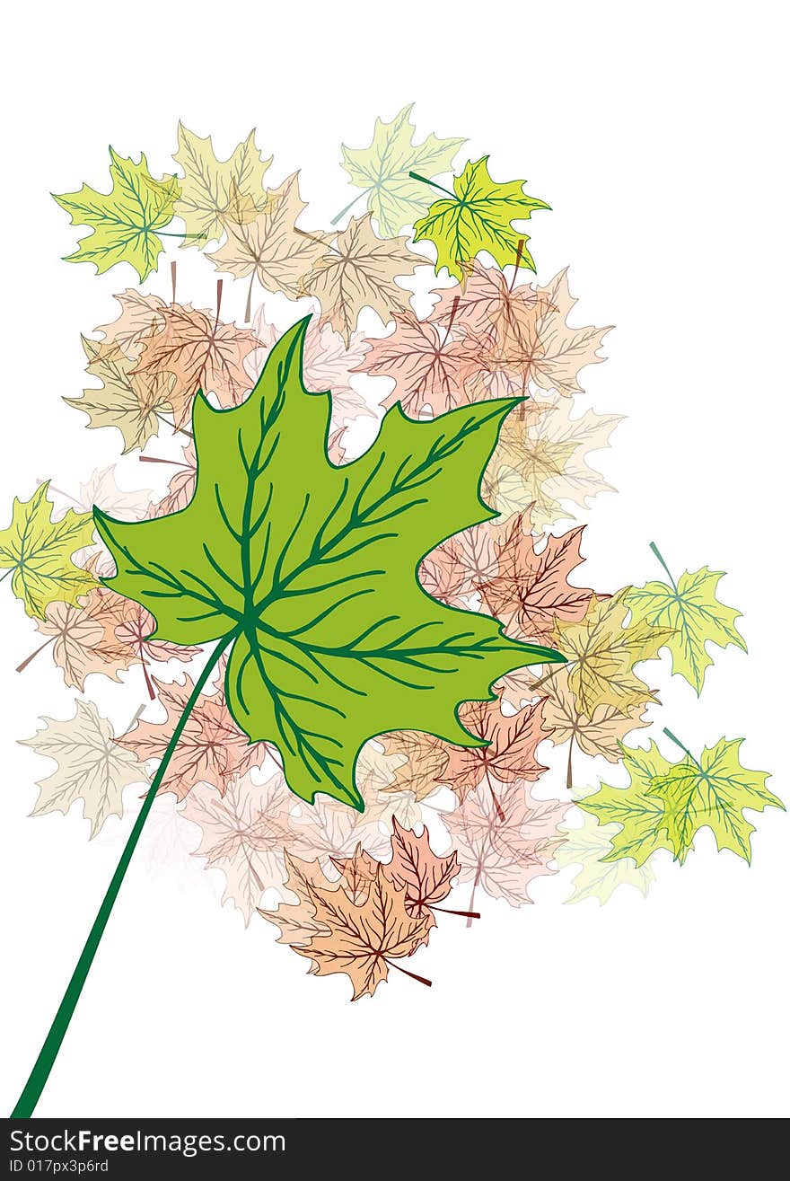 Green leafs -