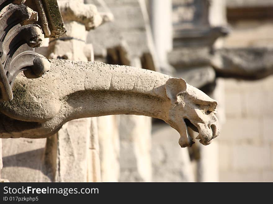 The Gargoyles of Notre Dame