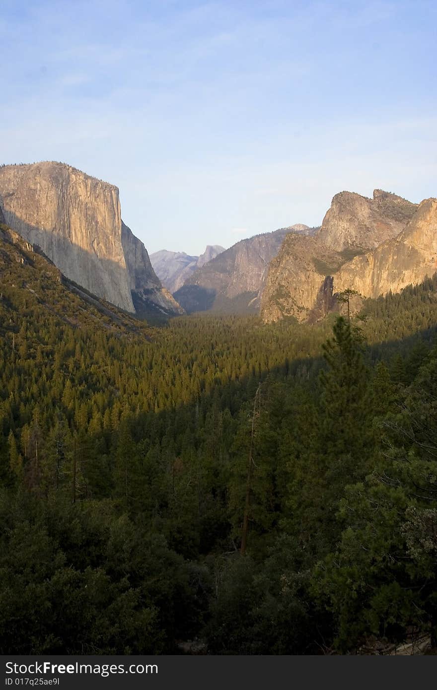 Mountain View With Forest