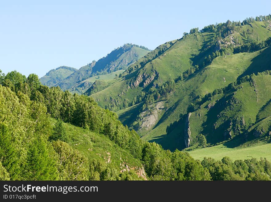 Mountains with green forest on blue sky. Mountains with green forest on blue sky