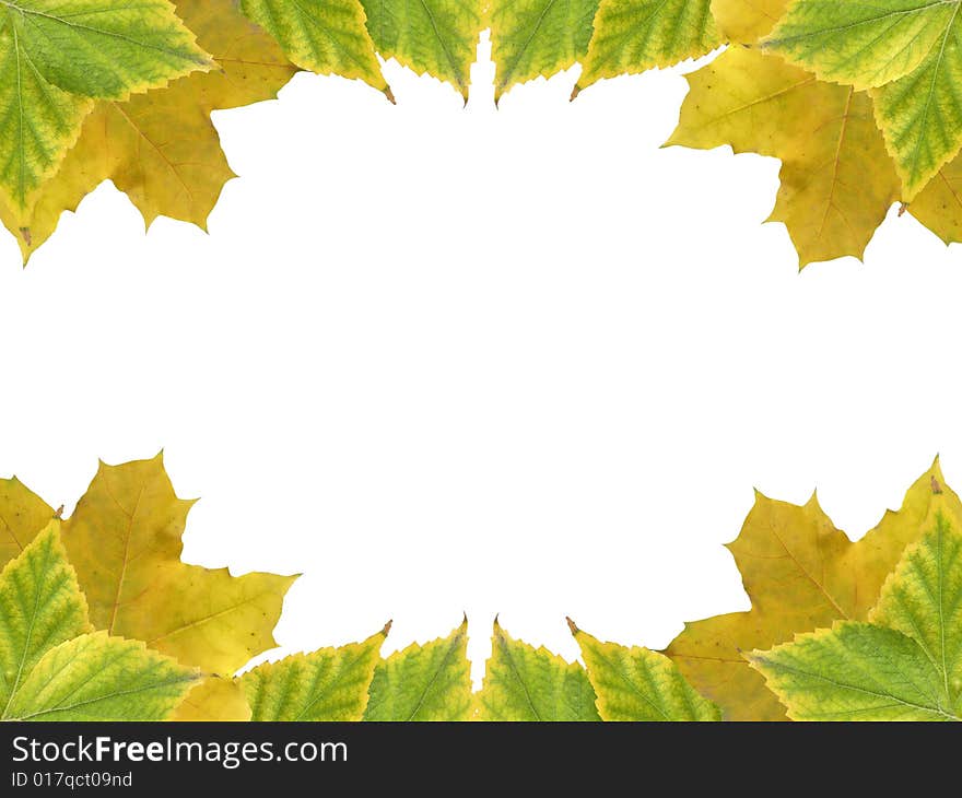 The framework is made of autumn leaves of a maple, and a birch. The framework is made of autumn leaves of a maple, and a birch