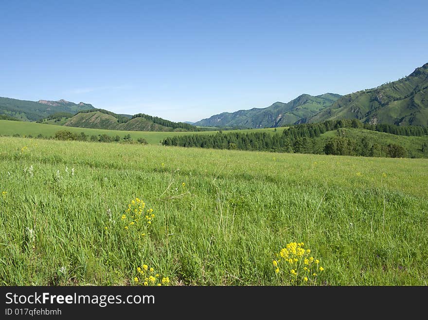 Mountains with green forest on blue sky. Mountains with green forest on blue sky