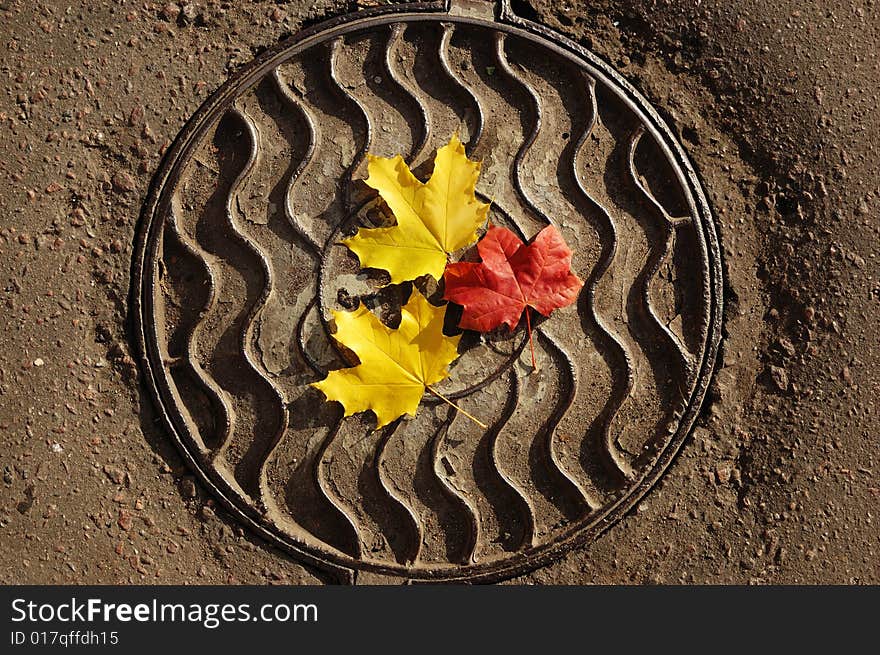 Leaves on a hatch cover. Leaves on a hatch cover