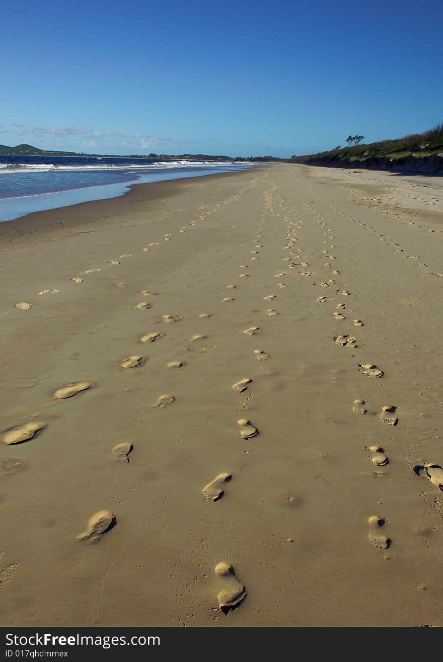 Footprints along the sand at Agnes Water , Australia. Footprints along the sand at Agnes Water , Australia