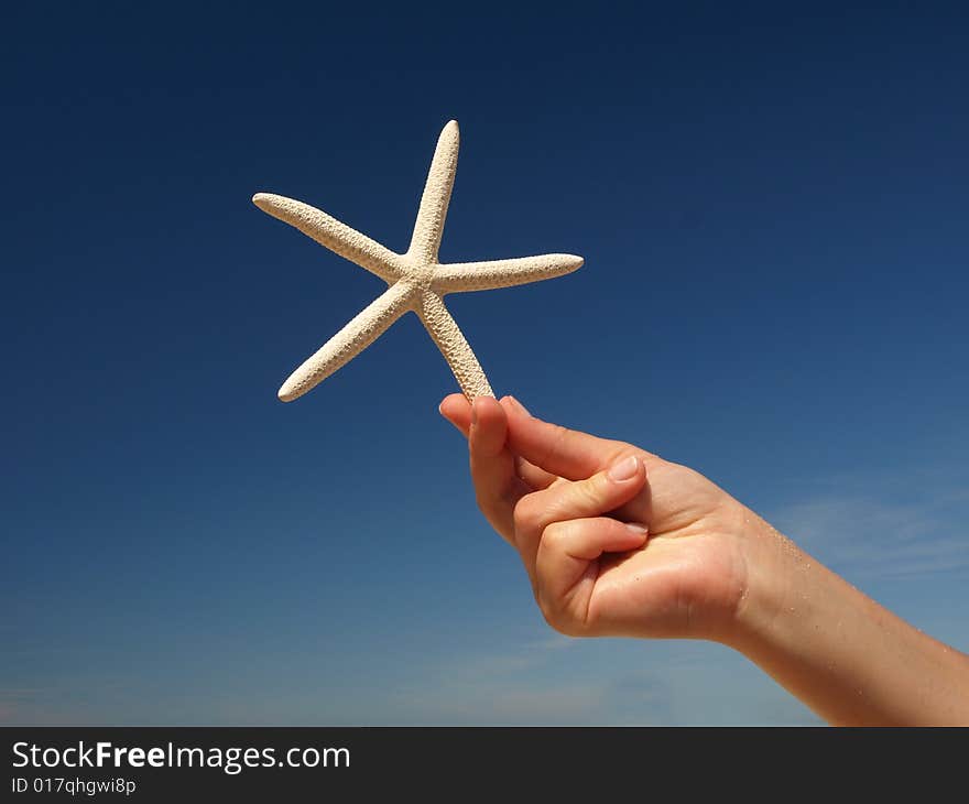 Starfish in my hand and blue sky