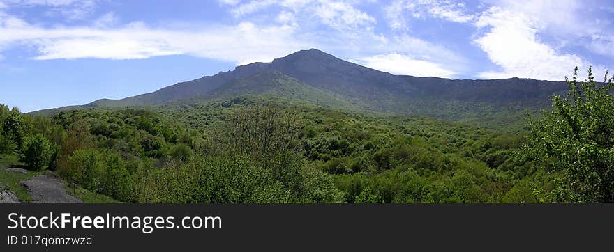 Mountains are covered plants in a sun day