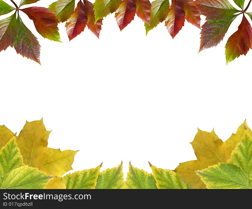 The framework is made of autumn leaves of a maple, a birch and an ivy. The framework is made of autumn leaves of a maple, a birch and an ivy