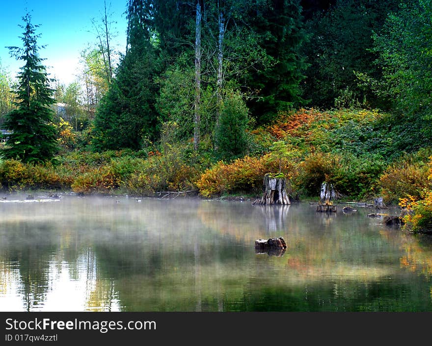 Misty Lagoon