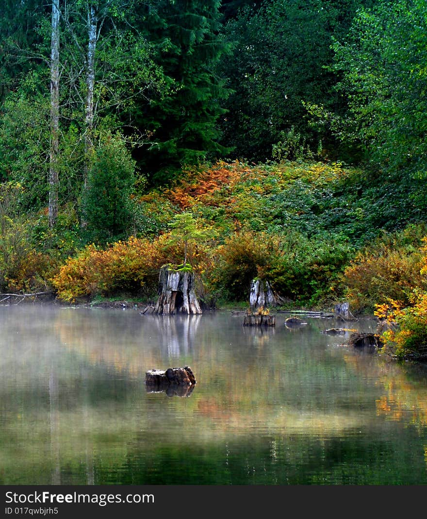 Misty Lagoon