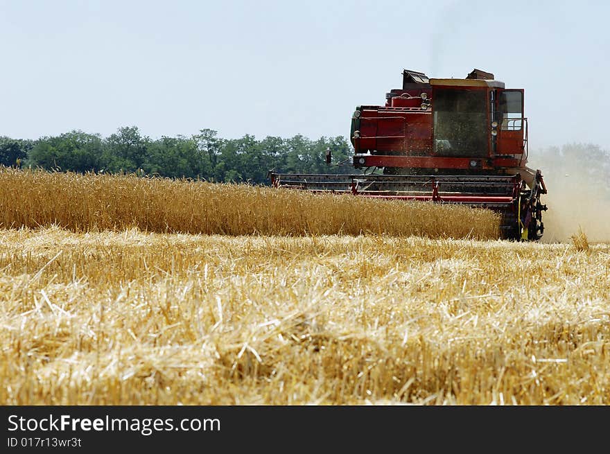 Harvest of wheat. Shipment, loading, Combine unloads grain in the lorry. Harvest of wheat. Shipment, loading, Combine unloads grain in the lorry