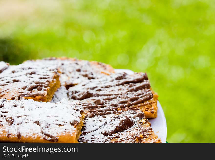 Gingerbread cake on green background