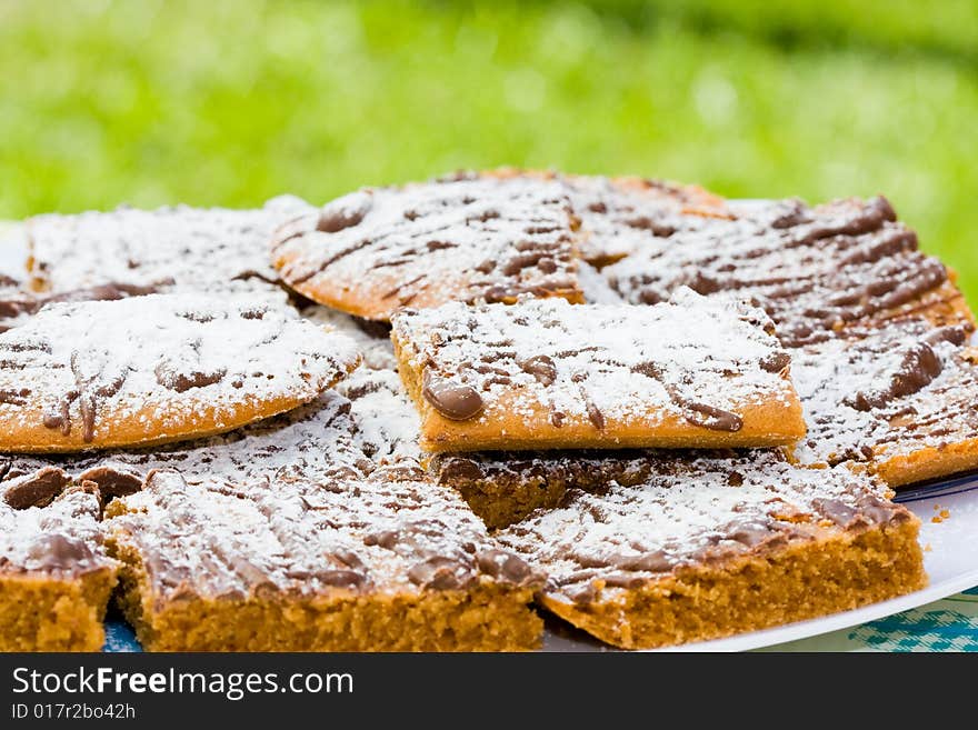 Gingerbread cake on green background