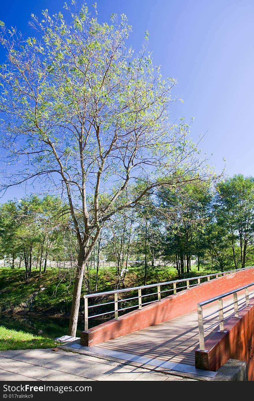 Tree And Brigde