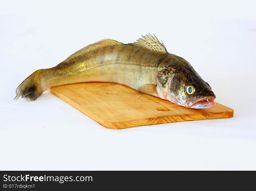 Fish On The Breadboard