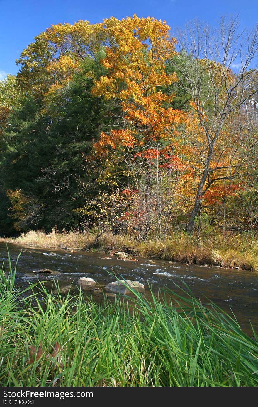 Autumn creek