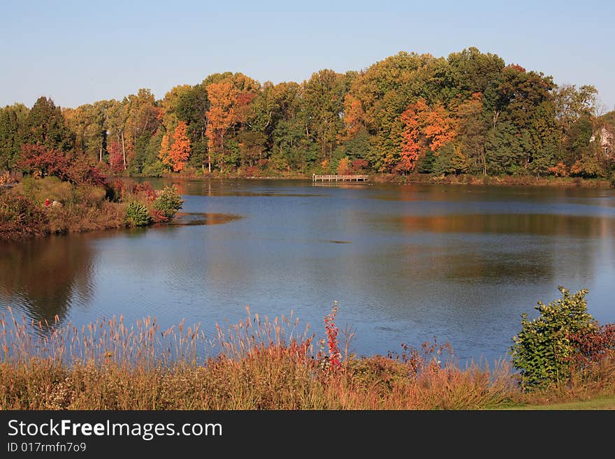 Lake in the fall