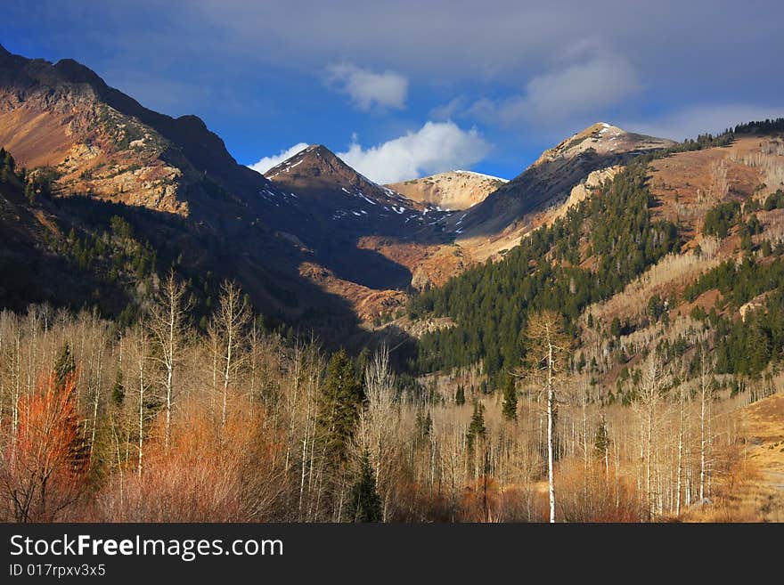 Fall colors on a high mountain meadow with blue sky and clouds. Fall colors on a high mountain meadow with blue sky and clouds