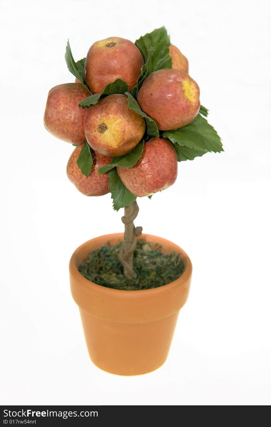 A Fake Apple Tree on a white Background.